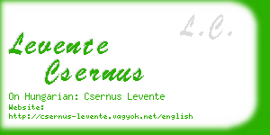 levente csernus business card